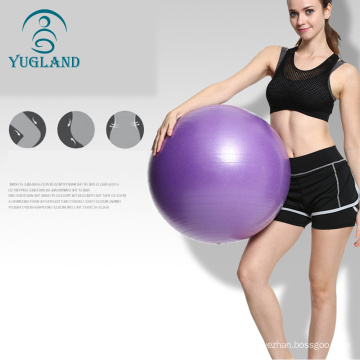 Yugland 65cm Yoga Fitness Gym Ball Sports Training Custom Logo Prix Durable Balles de yoga